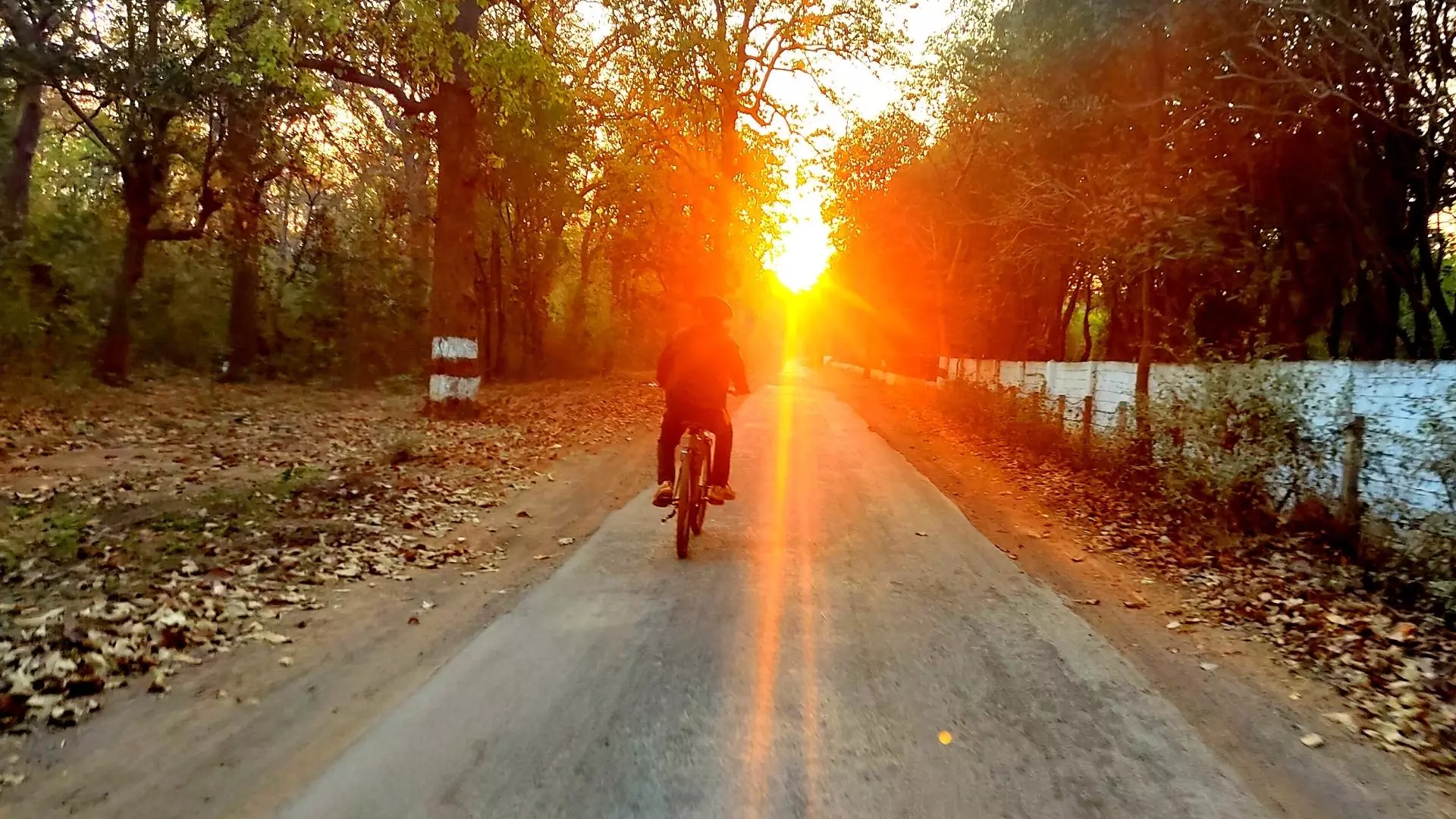 riding bicycle sunrise
