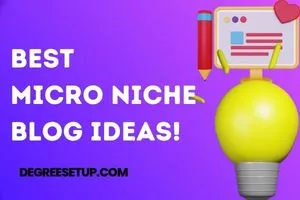 351+ Micro Niche Blog Ideas For 2023 [Unique &Profitable].