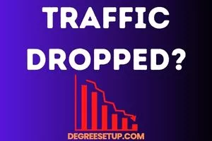 12 Possible Reasons Why Your Organic Traffic Dropped In 2022!