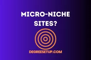 what is a micro niche site