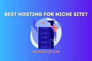 best hosting for a niche site