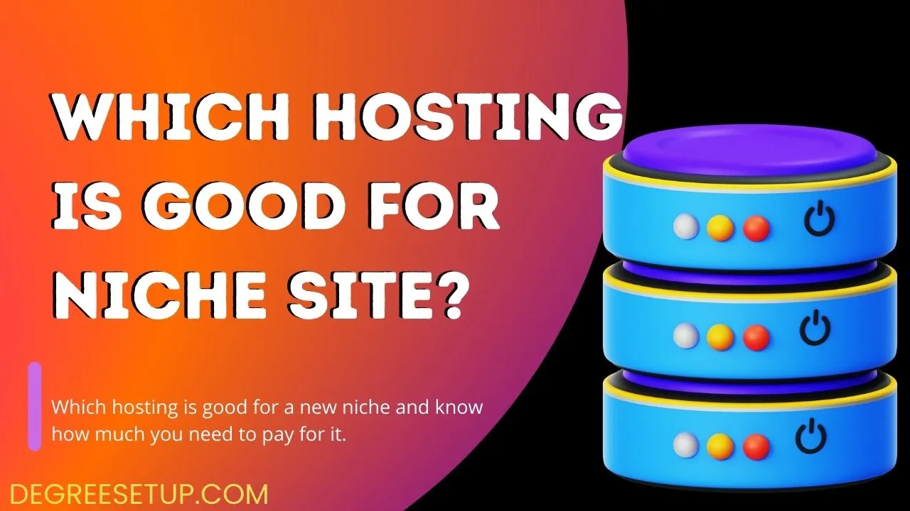 which hosting is good for a niche site