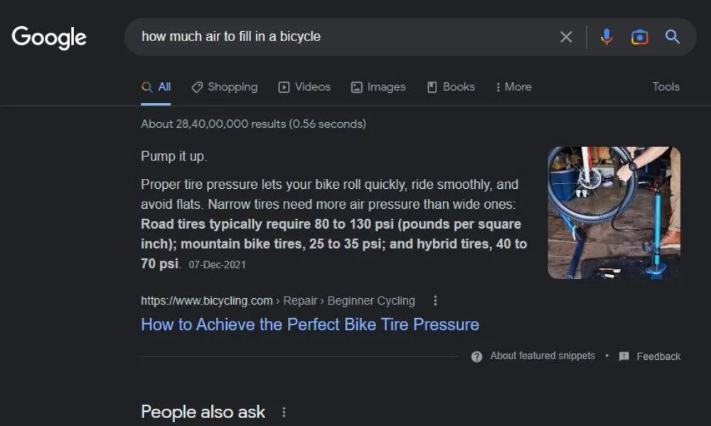 Google search results about bicycle tyre